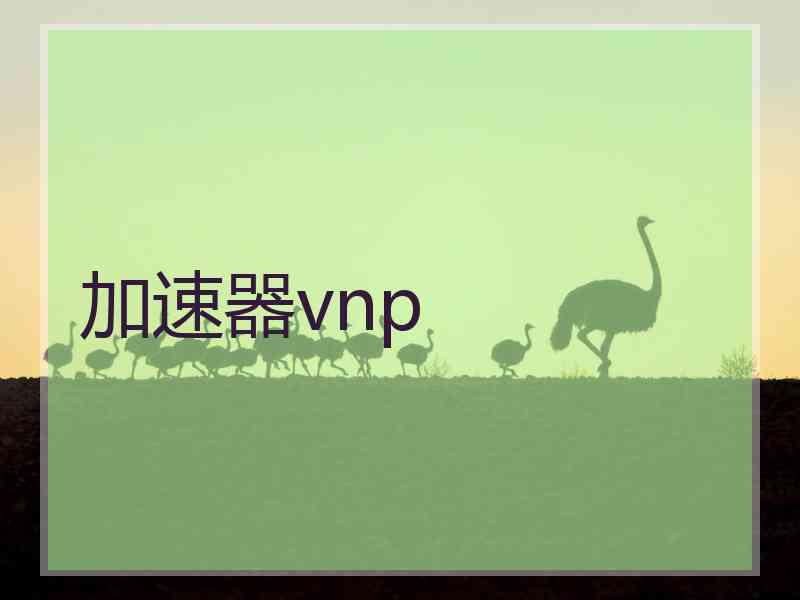 加速器vnp