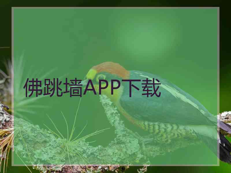 佛跳墙APP下载