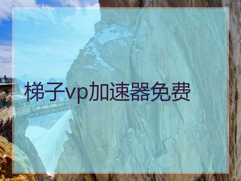 梯子vp加速器免费