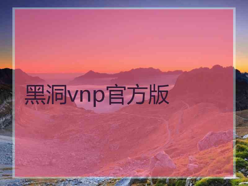 黑洞vnp官方版