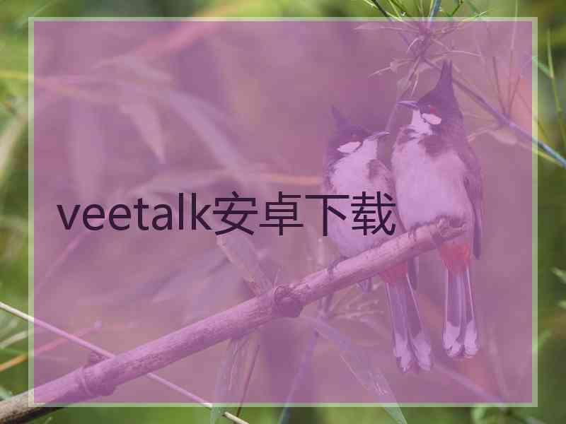 veetalk安卓下载