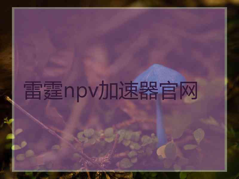 雷霆npv加速器官网