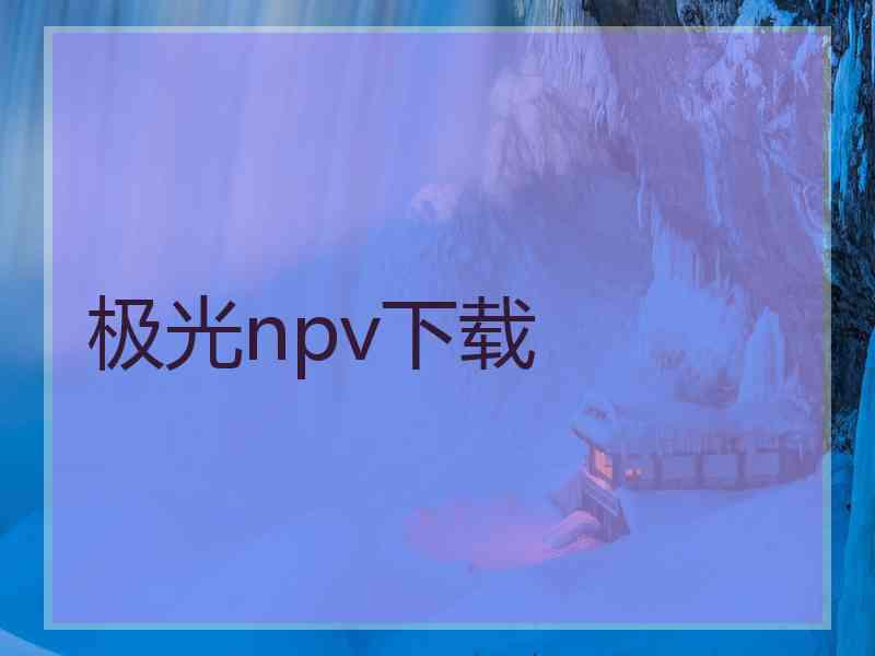 极光npv下载