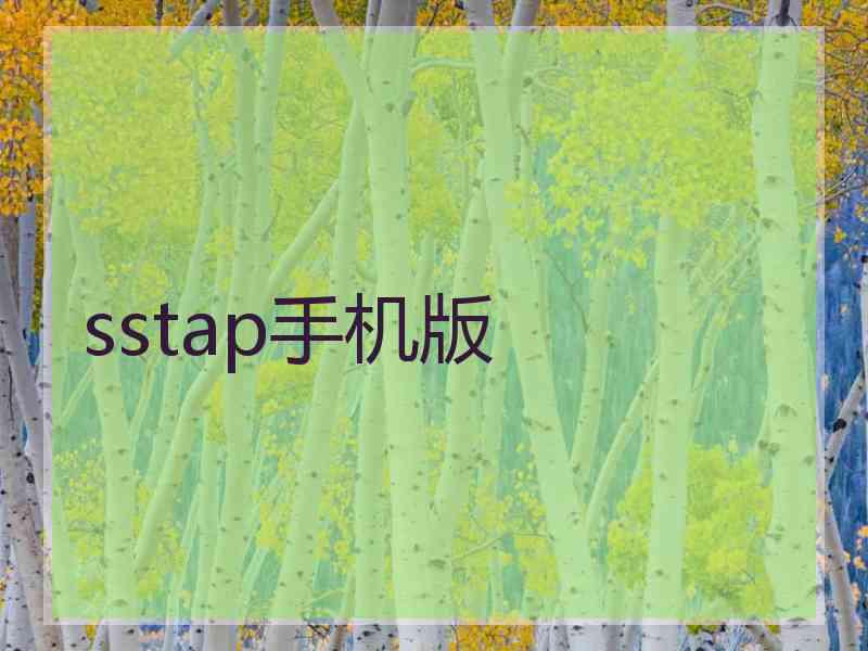 sstap手机版