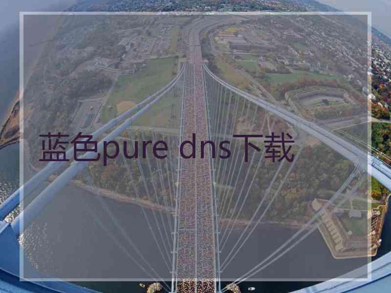 蓝色pure dns下载