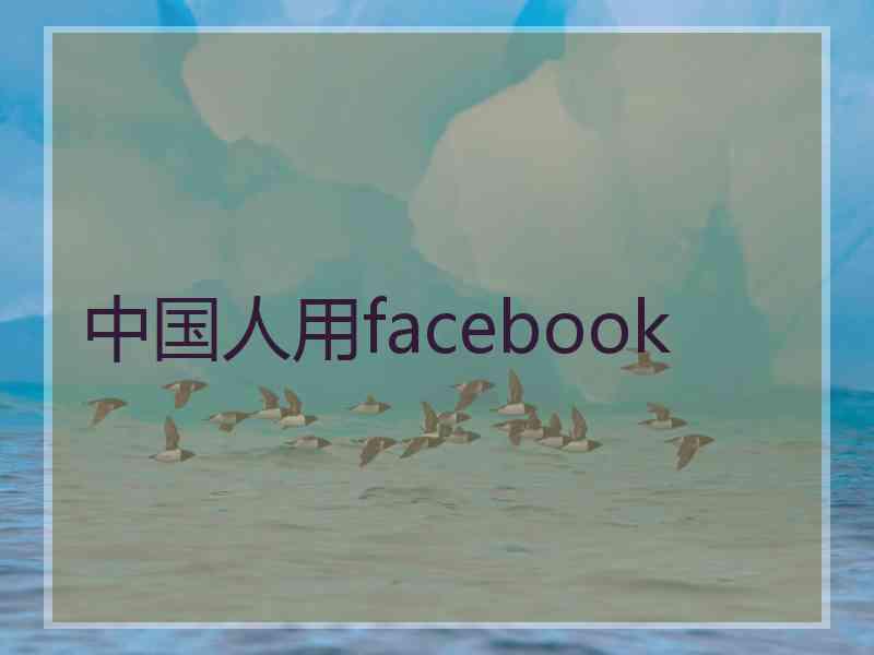 中国人用facebook