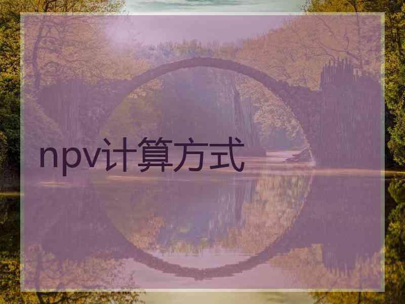 npv计算方式