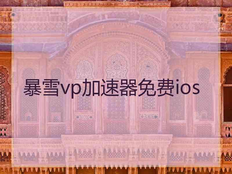 暴雪vp加速器免费ios