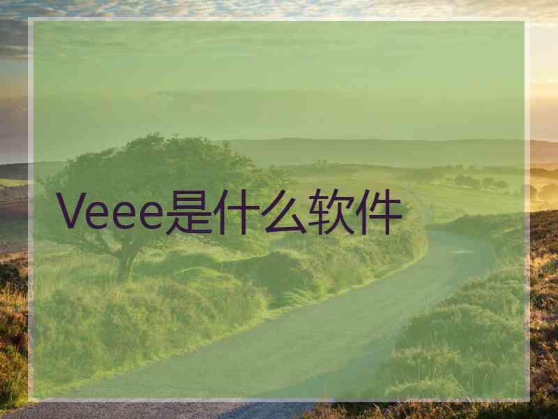 Veee是什么软件