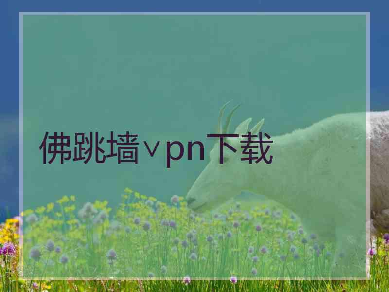 佛跳墙∨pn下载