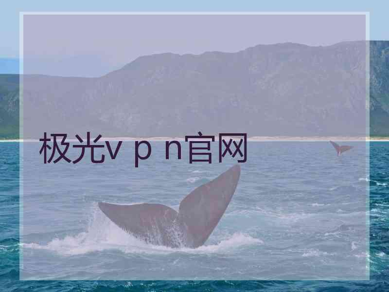 极光v p n官网