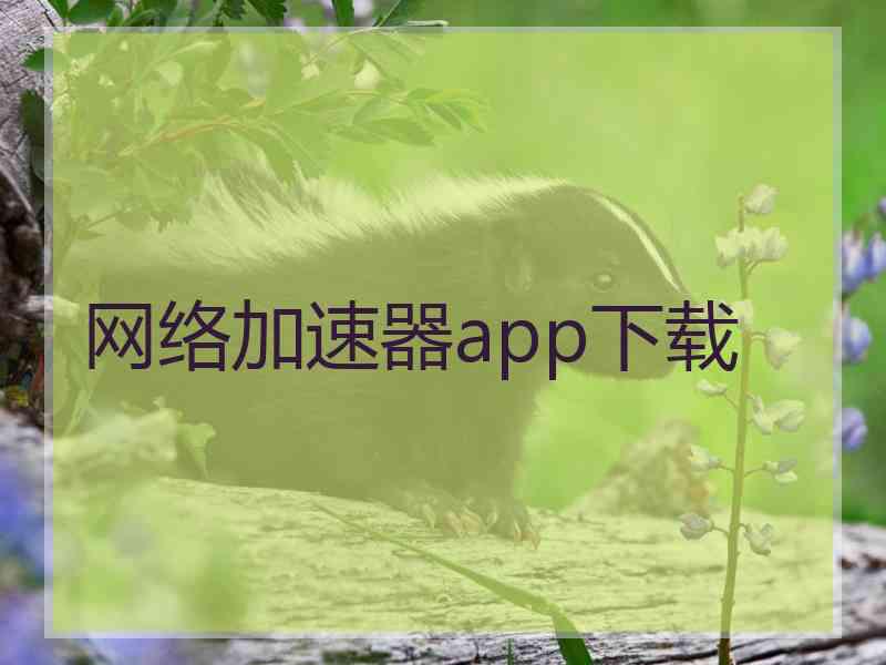 网络加速器app下载