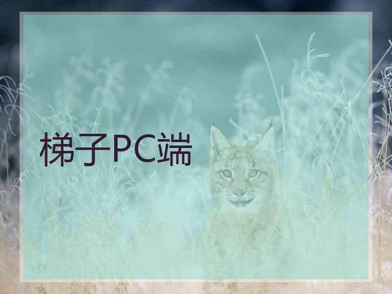 梯子PC端