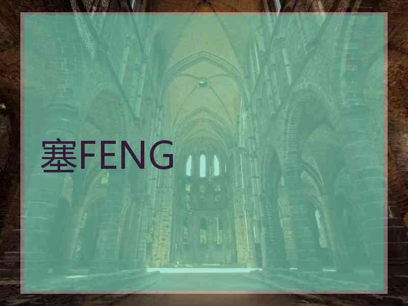 塞FENG