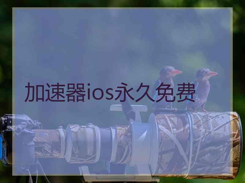 加速器ios永久免费