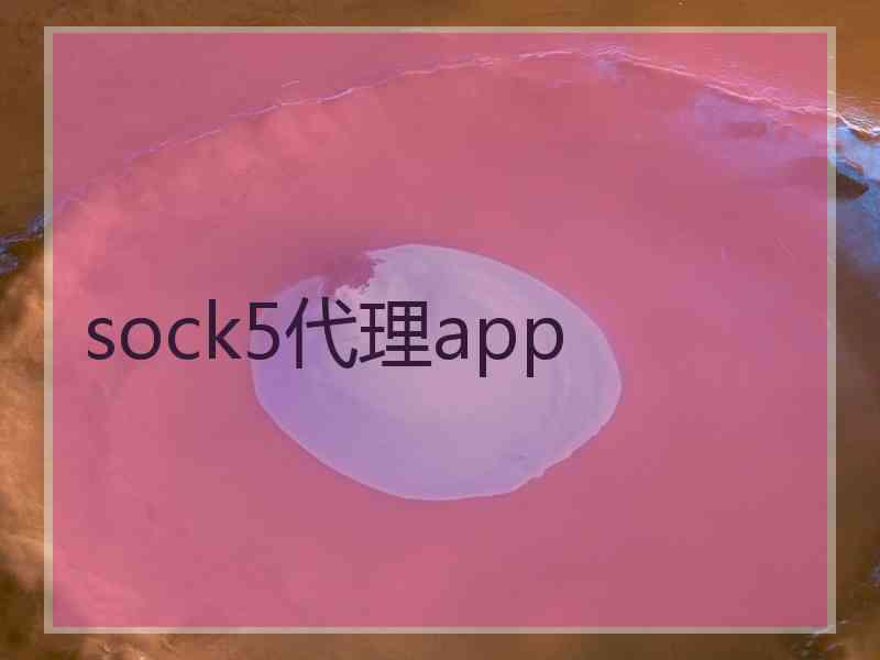 sock5代理app