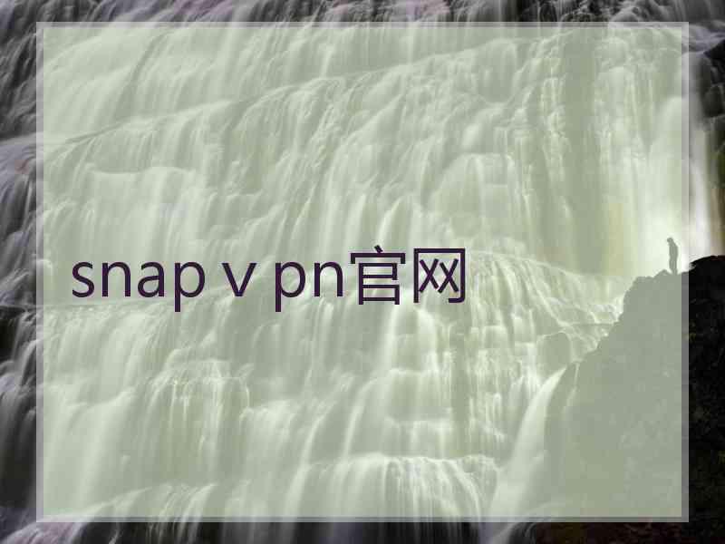 snapⅴpn官网