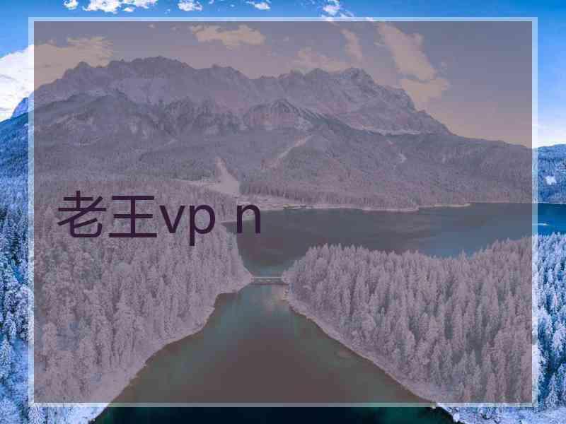 老王vp n