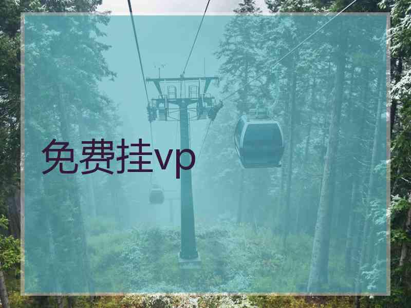 免费挂vp