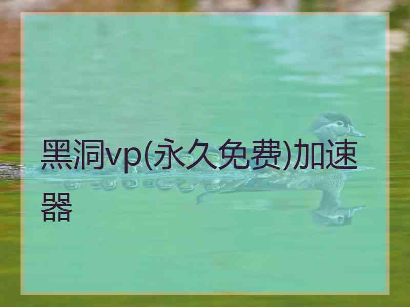 黑洞vp(永久免费)加速器