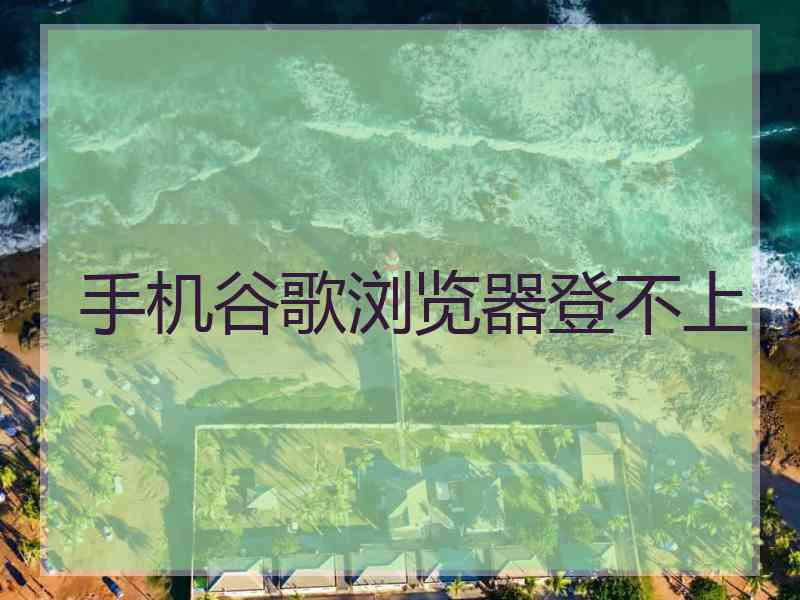 手机谷歌浏览器登不上