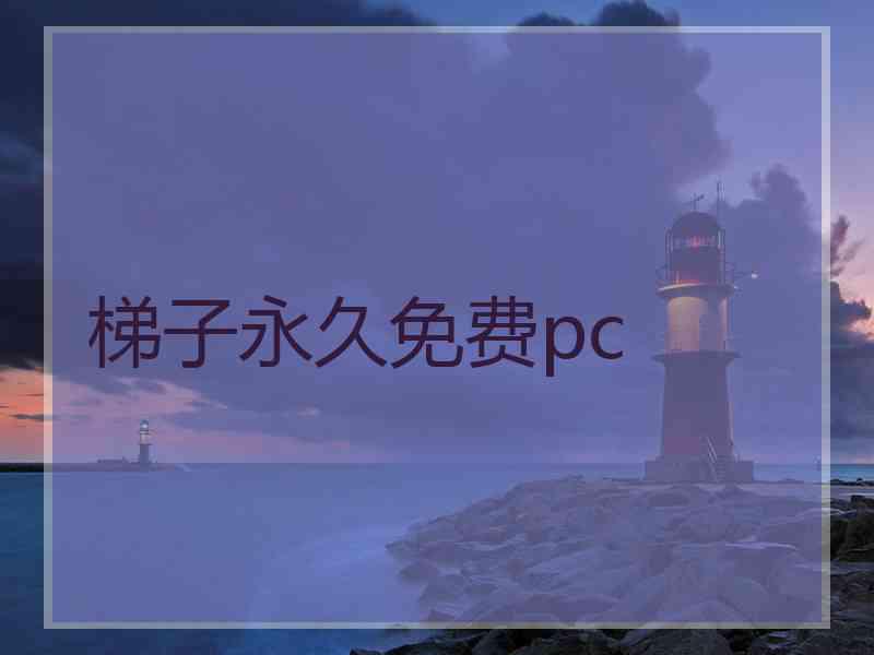 梯子永久免费pc