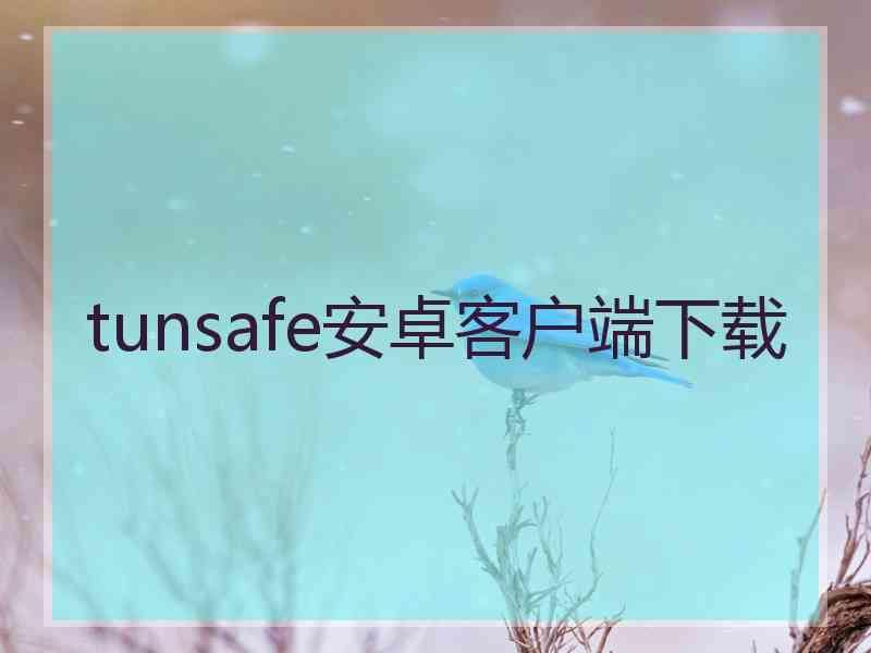 tunsafe安卓客户端下载