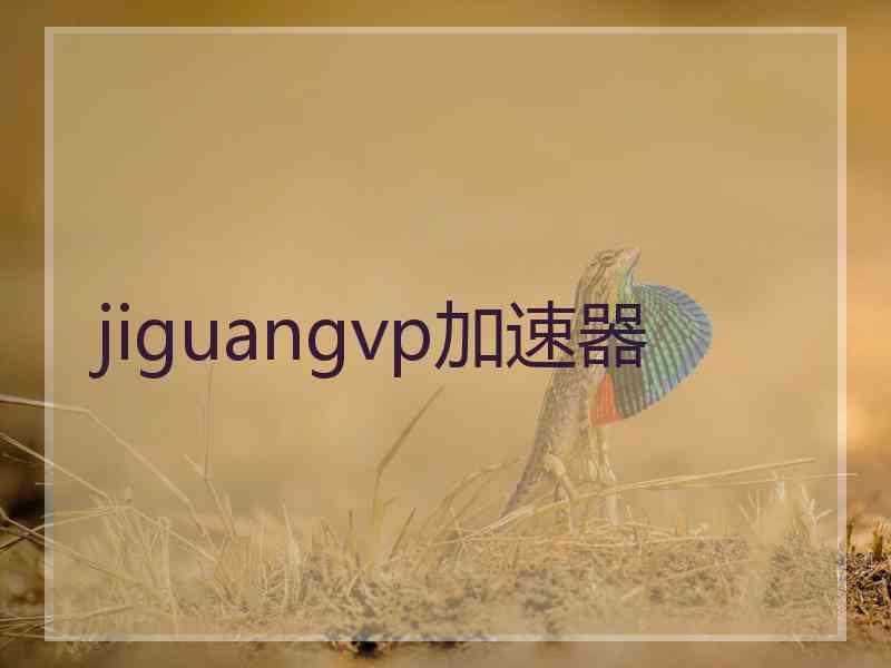 jiguangvp加速器