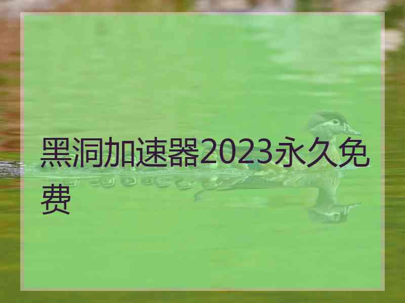 黑洞加速器2023永久免费