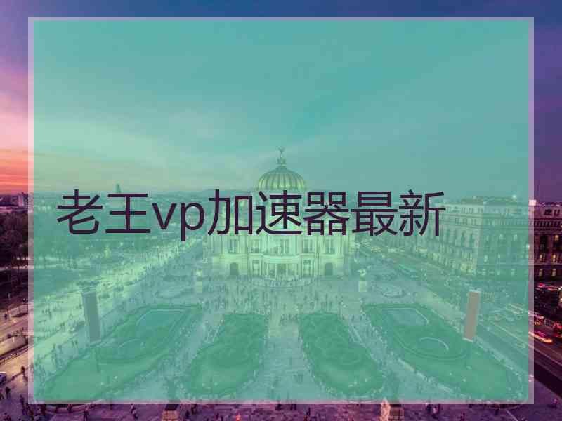 老王vp加速器最新