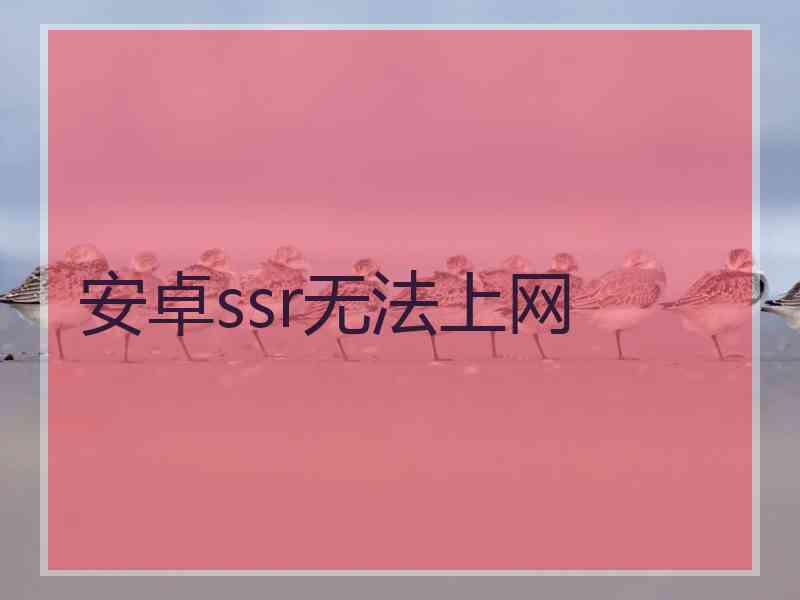 安卓ssr无法上网