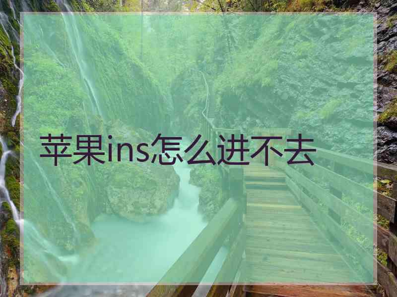 苹果ins怎么进不去