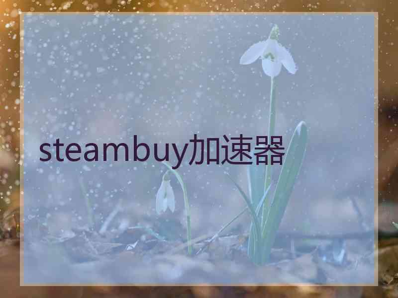 steambuy加速器